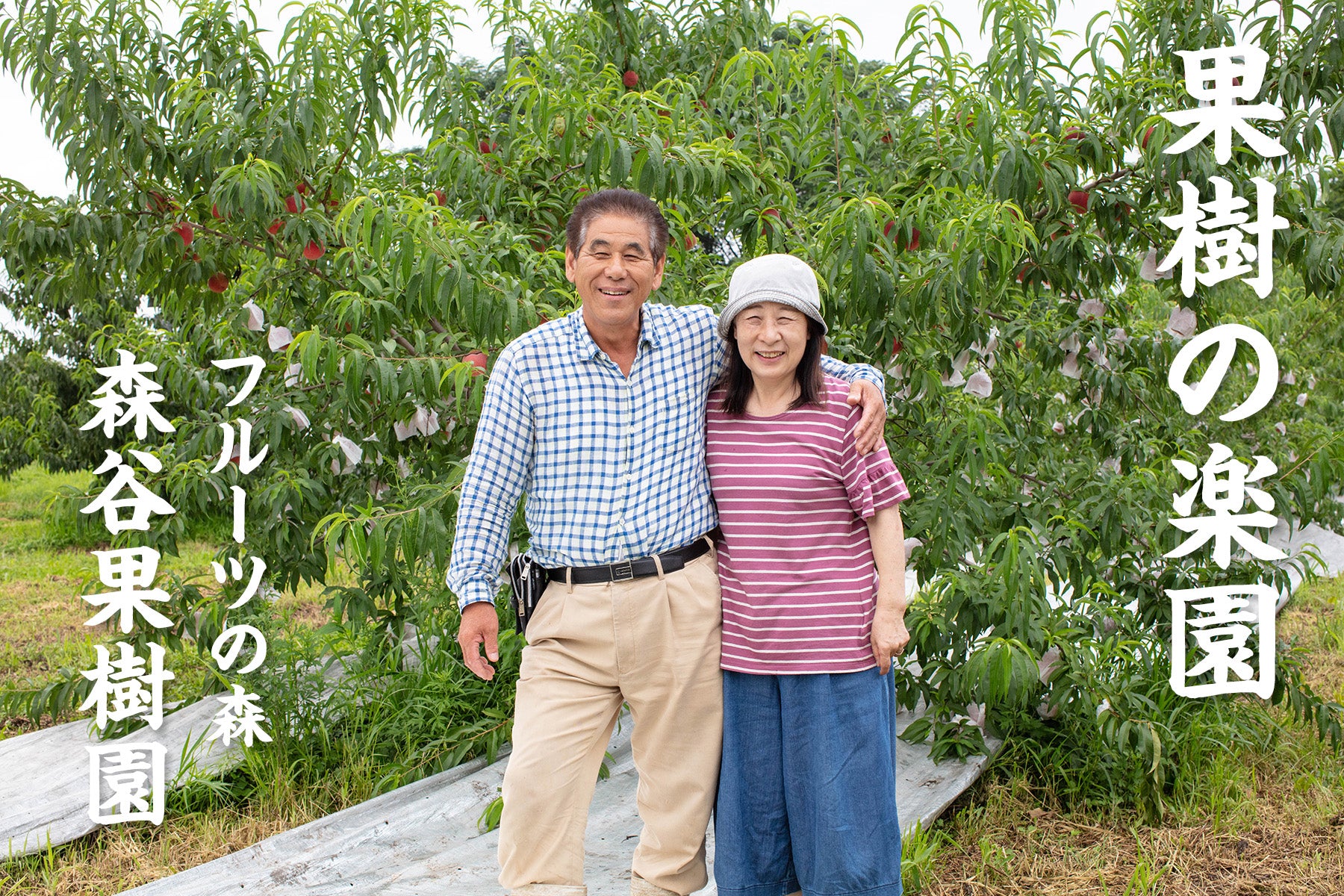 フルーツの森 森谷果樹園