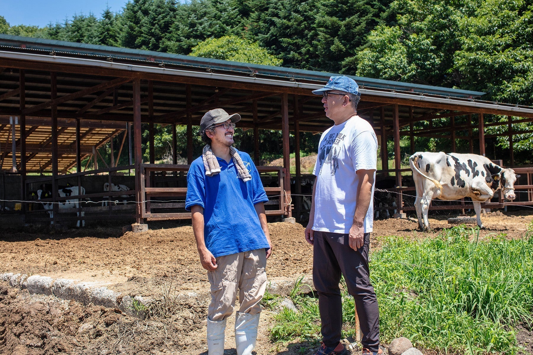 清里ミルクプラント Farm letter vol.56