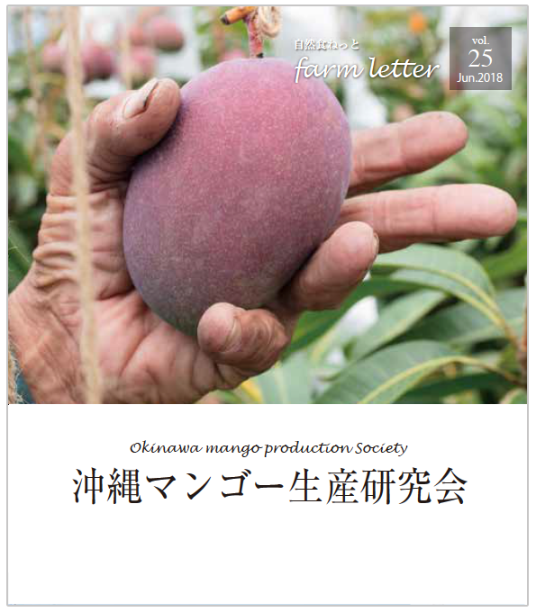 沖縄　無農薬マンゴー　3.2キロ