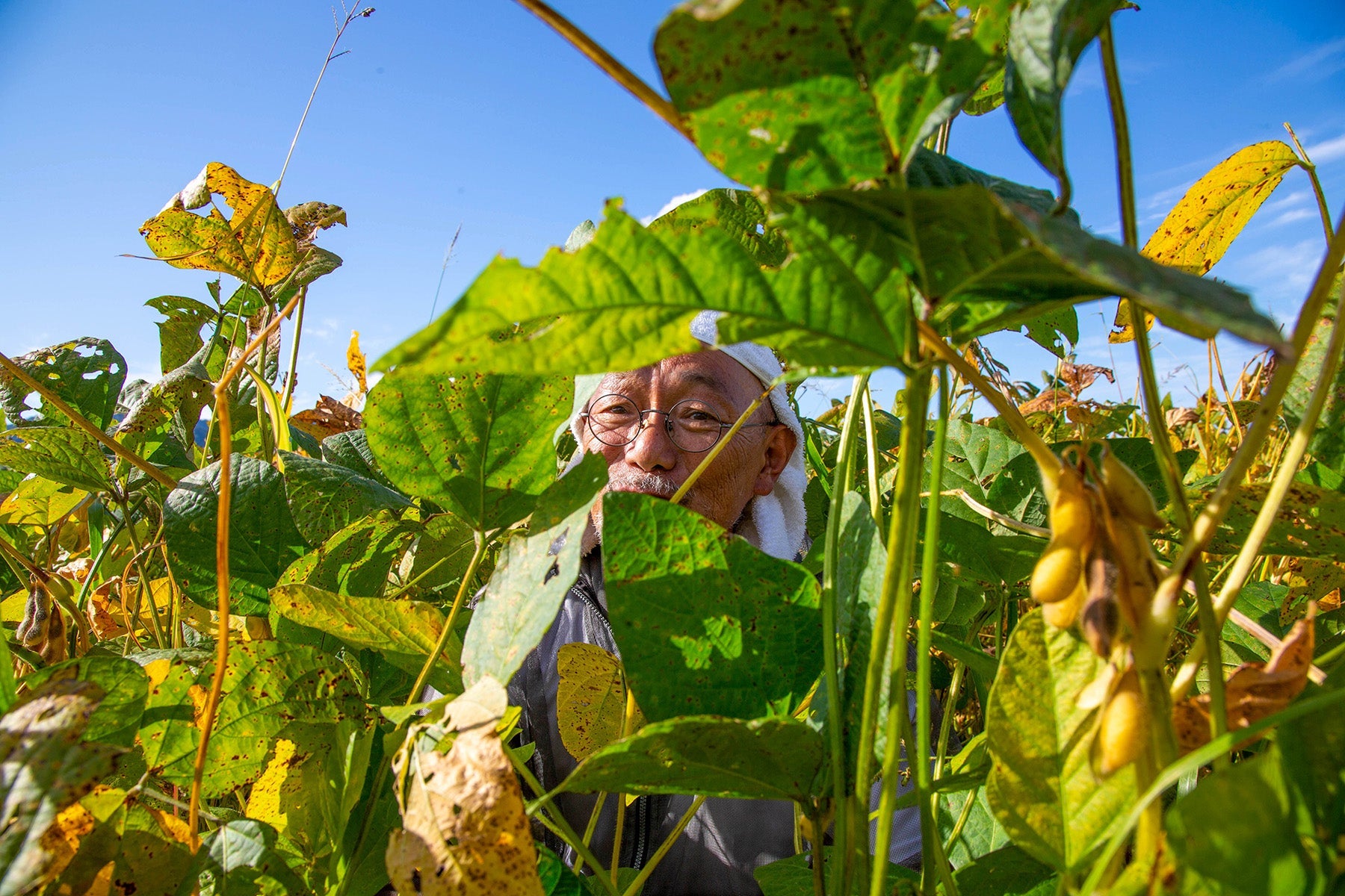 佐久間権左衛門(山形県)
