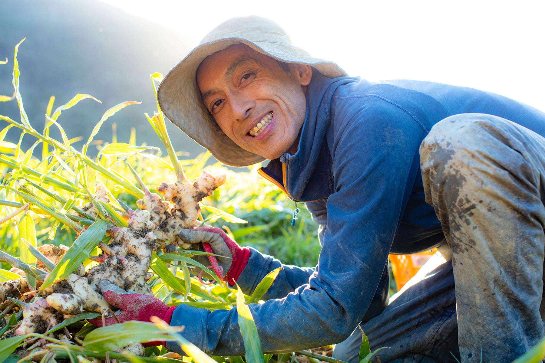 【高知県/ラッキー農園 】標高700mの高地で育つ、食のプロも選ぶ限界突破ショウガ。