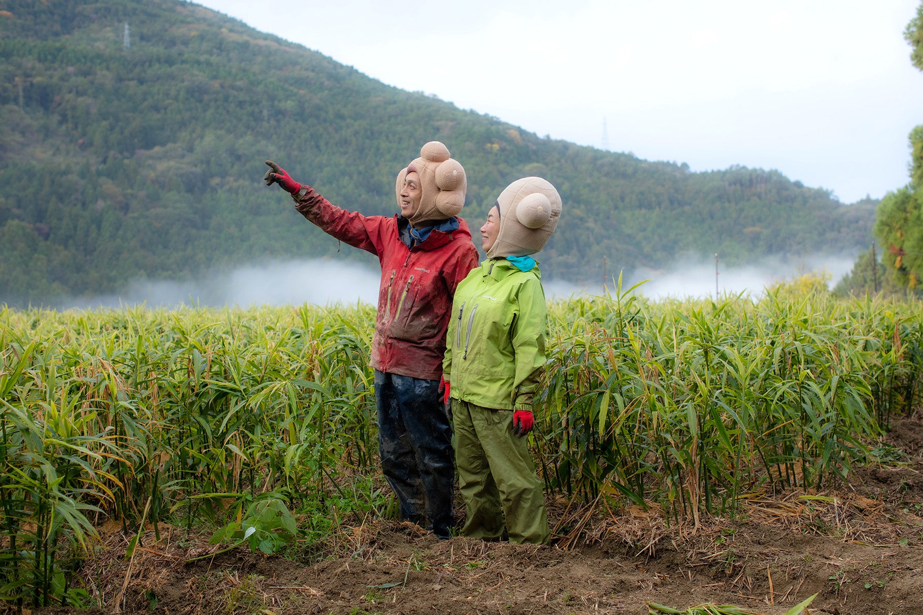 【高知県/ラッキー農園 】標高700mの高地で育つ、食のプロも選ぶ限界突破ショウガ。