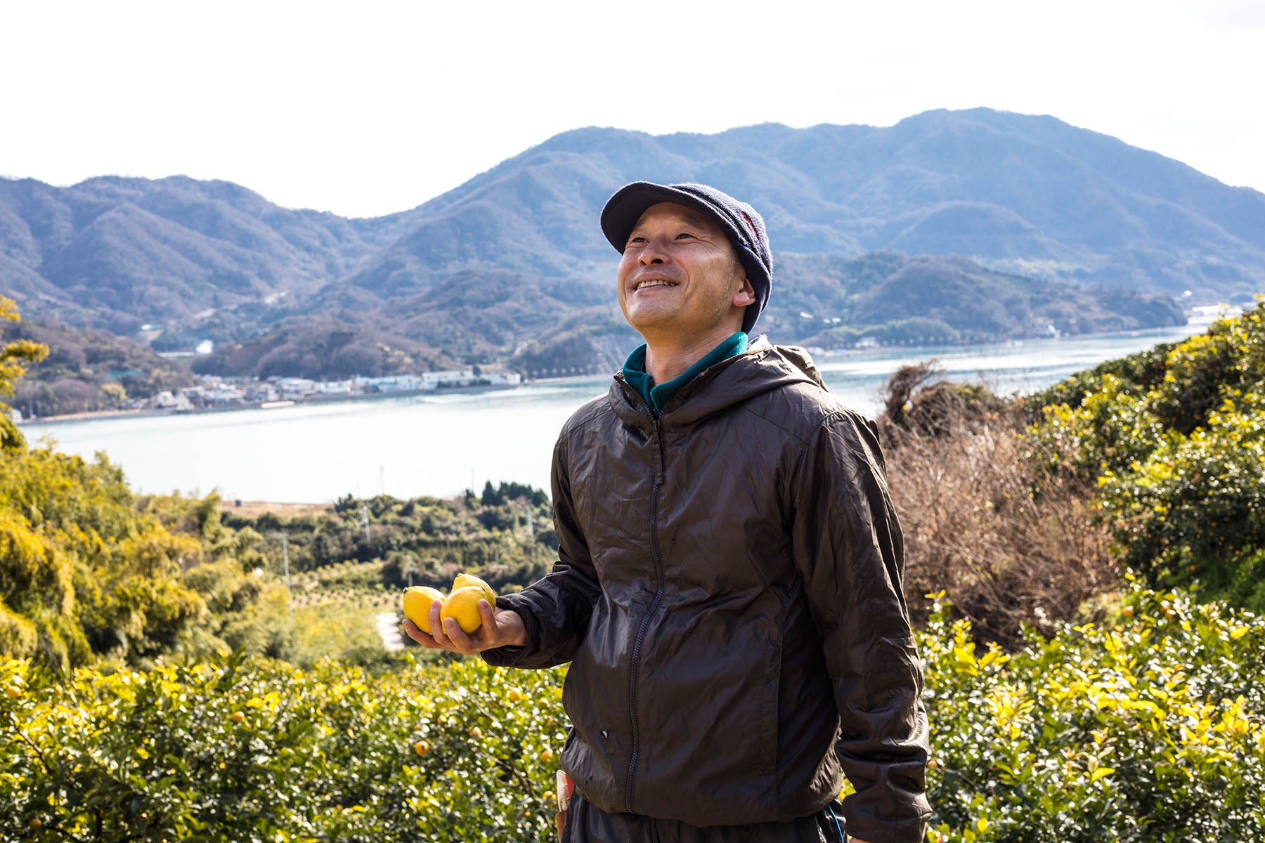 【広島県/セーフティーフルーツ】国産レモンの最高峰、生口島の太陽と潮風で育つ元祖しまなみレモン。