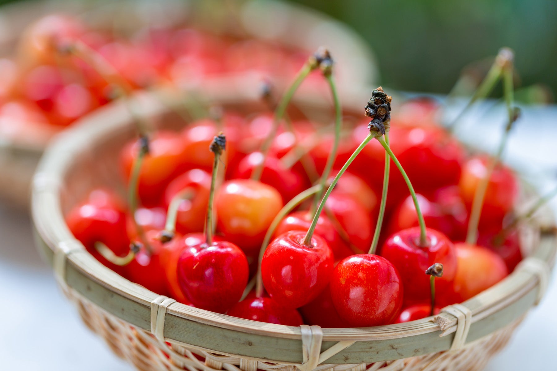 【山形県/森谷果樹園】2026年、木成り完熟さくらんぼ(特別栽培)予約は6月上旬開催