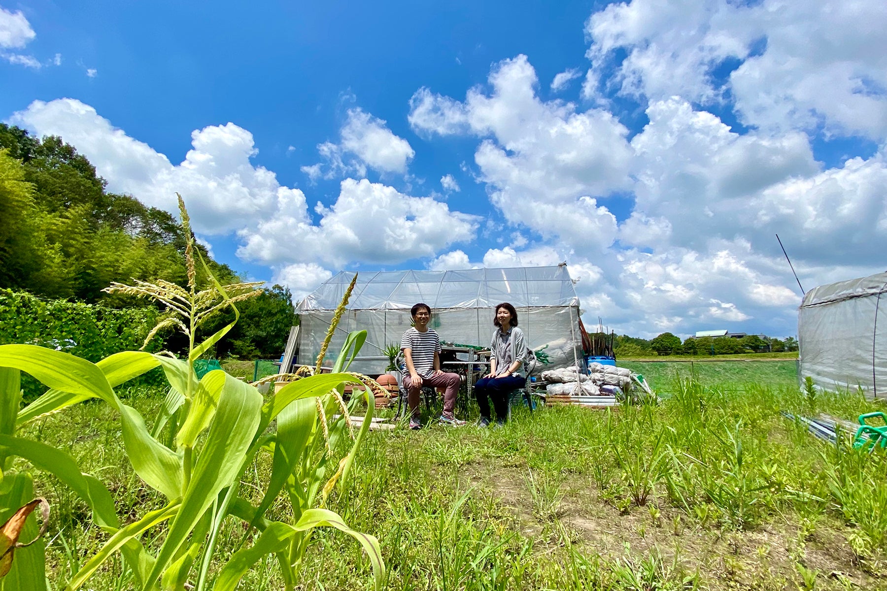 【兵庫県/Farmer's Yard】季節のミニ野菜をアートにして送るベジアート。美しくおいしいサプライズ。
