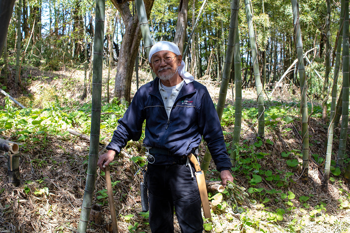 【山形県/佐久間権左衛門】アクが少なく柔らかい。独特の甘味がある北限の「孟宗筍」。数量限定予約開始!