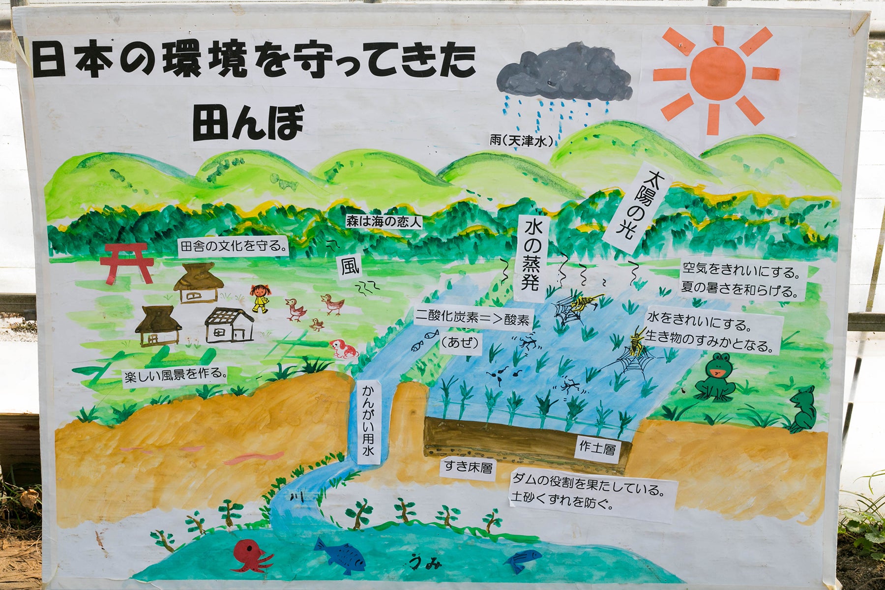 【福井県/よしむら農園】太陽と雨と川と田んぼ。自然とともに育む米