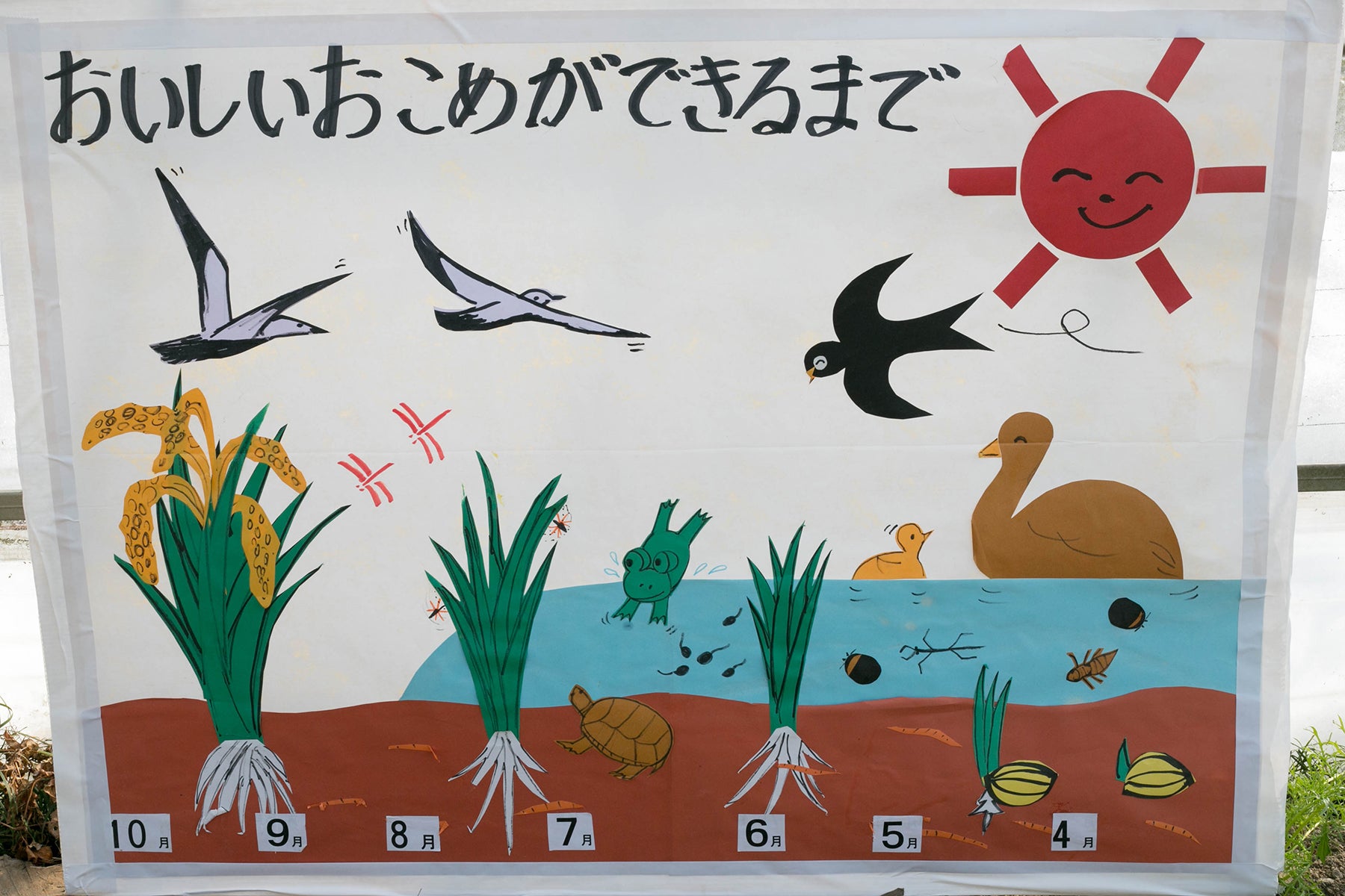 【福井県/よしむら農園】太陽と雨と川と田んぼ。自然とともに育む米