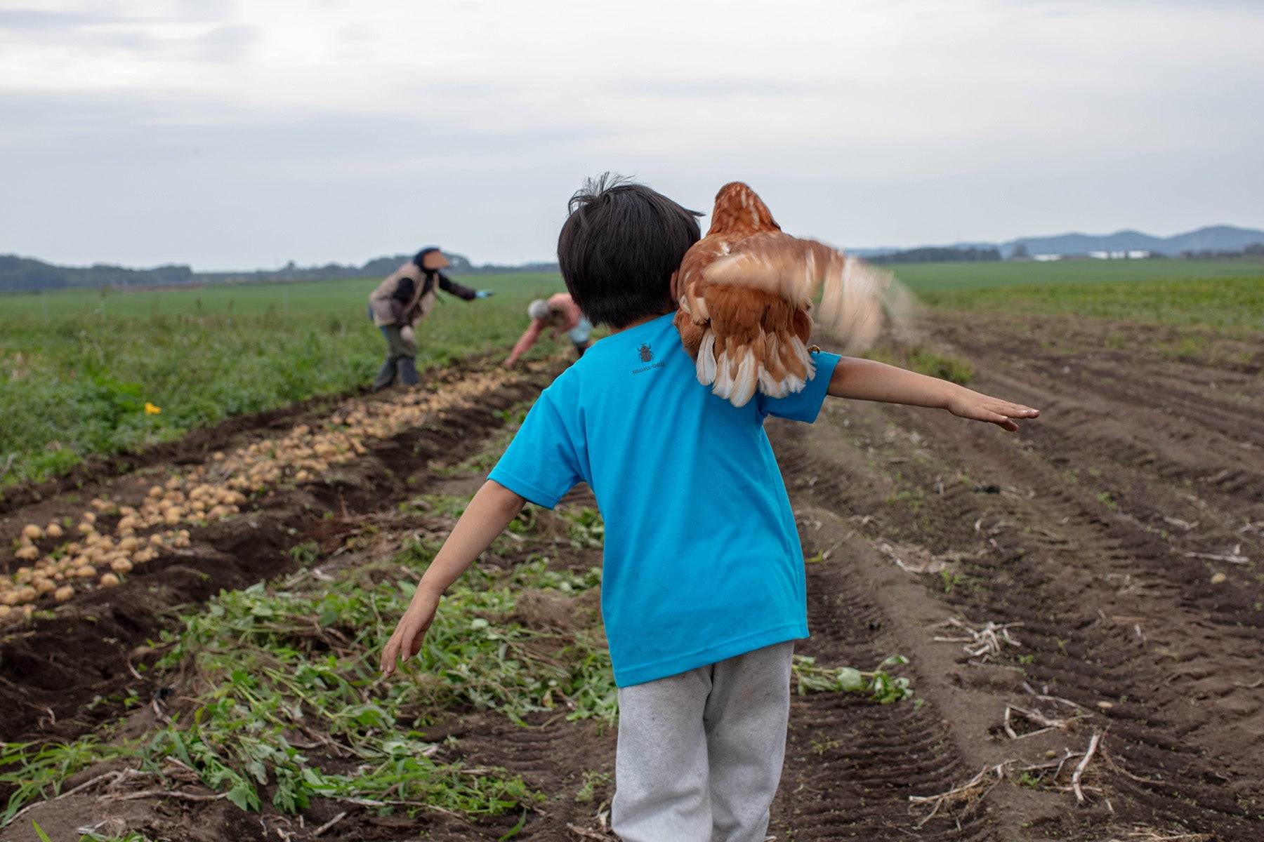 【北海道/野菜(有機JAS)】生態系を活かした高品質な作物 / High-quality crops that utilize the ecosystem