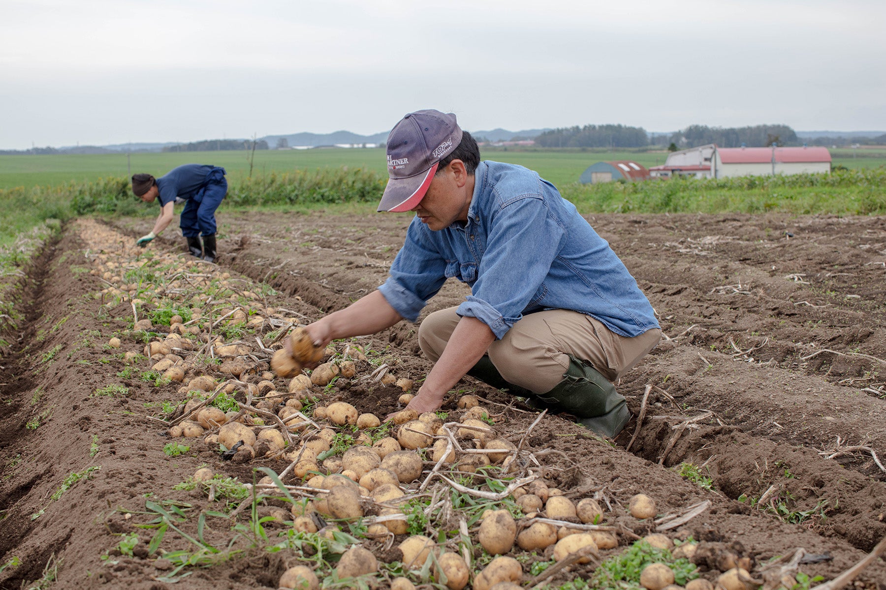 【北海道/野菜(有機JAS)】生態系を活かした高品質な作物 / High-quality crops that utilize the ecosystem