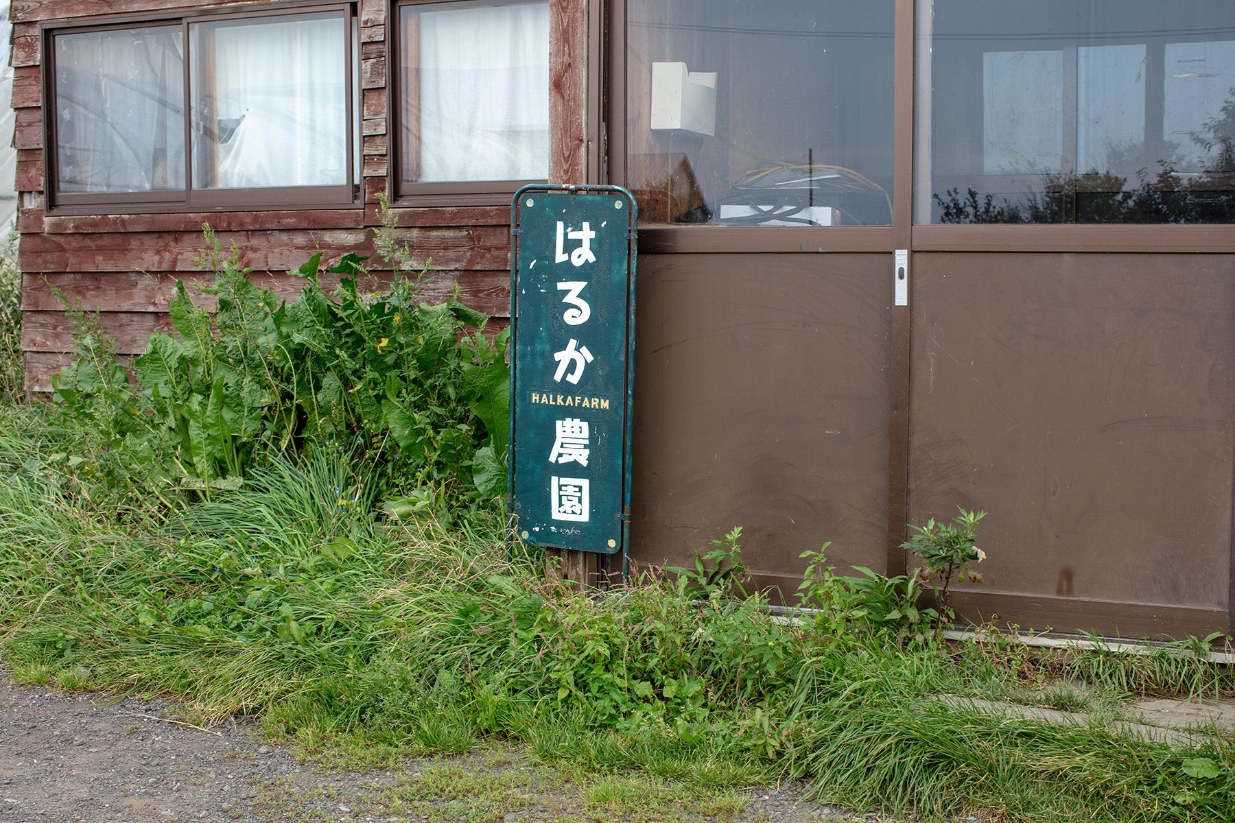【北海道/野菜(有機JAS)】生態系を活かした高品質な作物 / High-quality crops that utilize the ecosystem