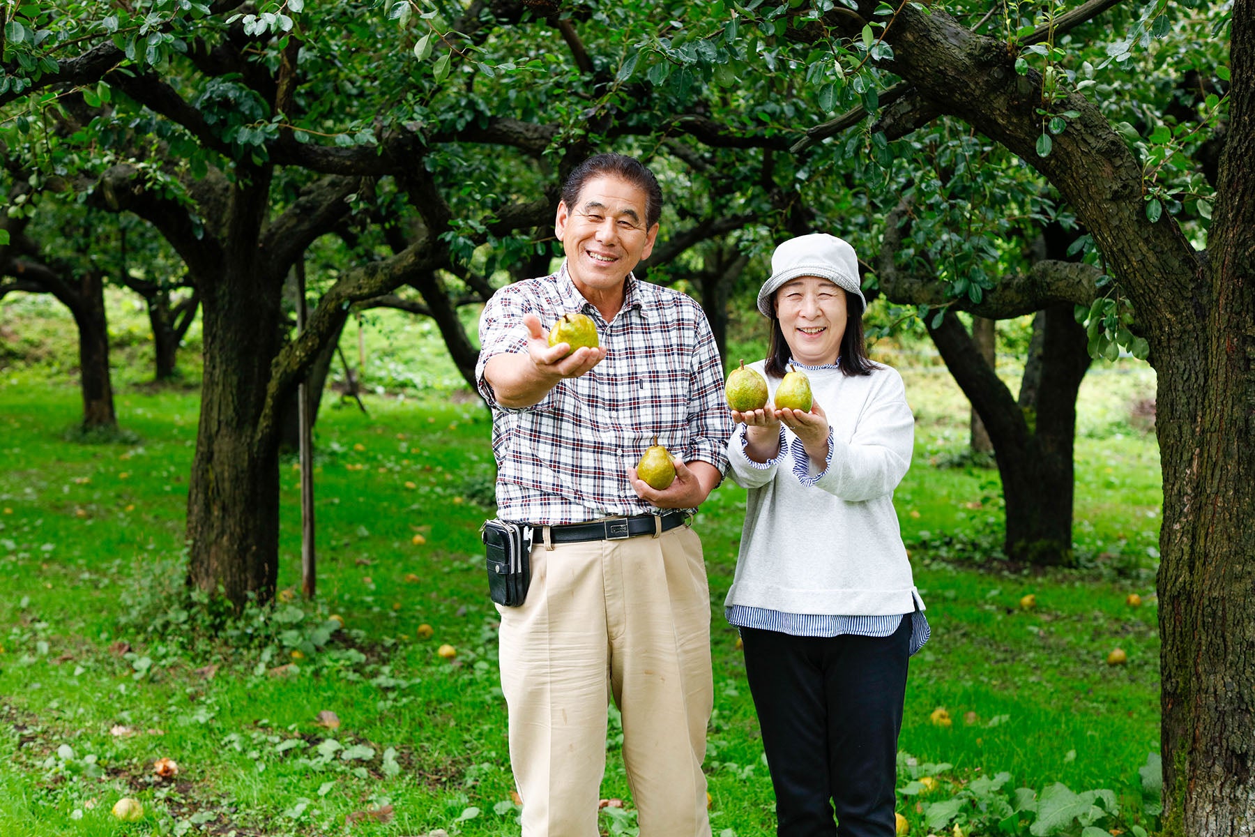 【山形県/森谷果樹園】抜群の味、口溶け優しい果物の女王ラ・フランス販売開始