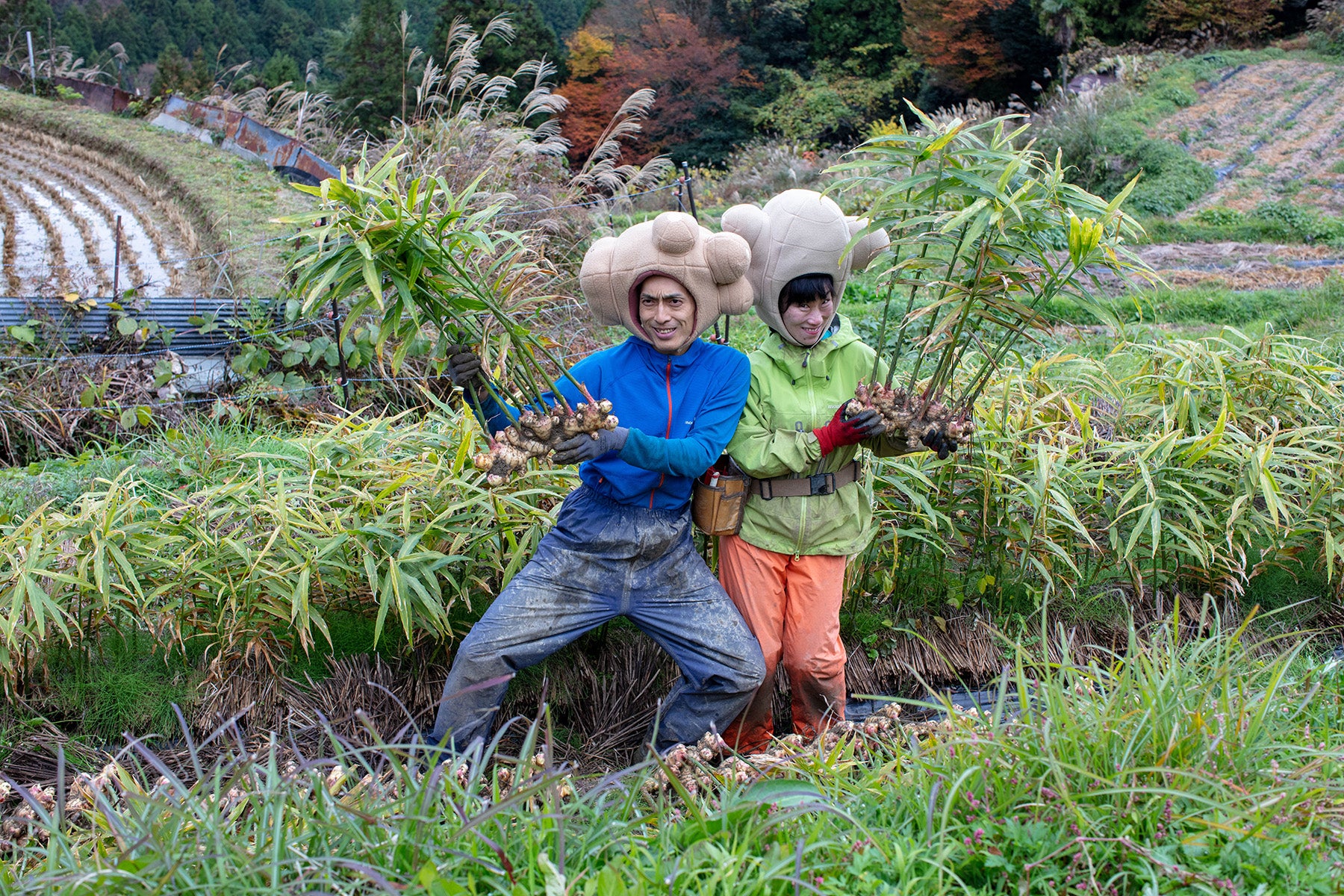 【高知県/ラッキー農園 】標高700mの高地で育つ、食のプロも選ぶ限界突破ショウガ。