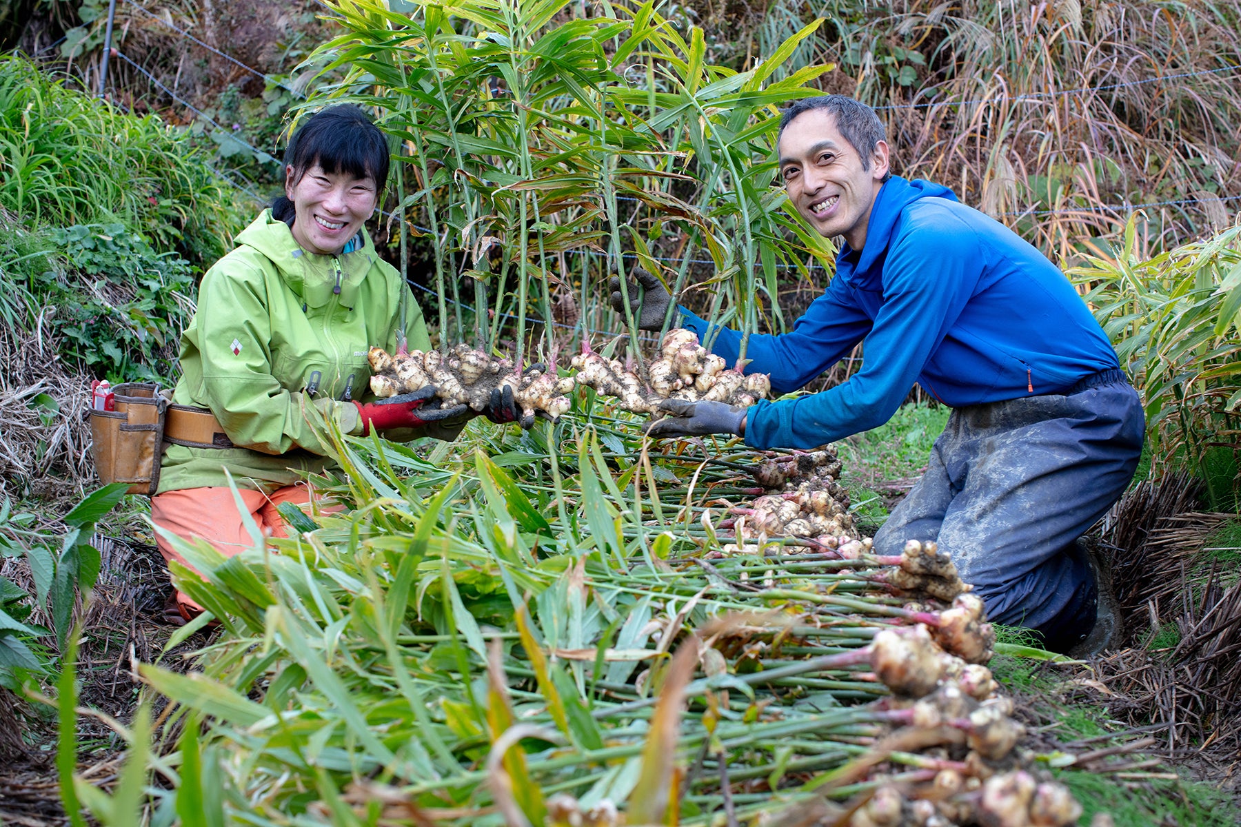 【高知県／ラッキー農園 】食のプロフェッショナルが選ぶ、標高700で育つ限界突破ショウガ。