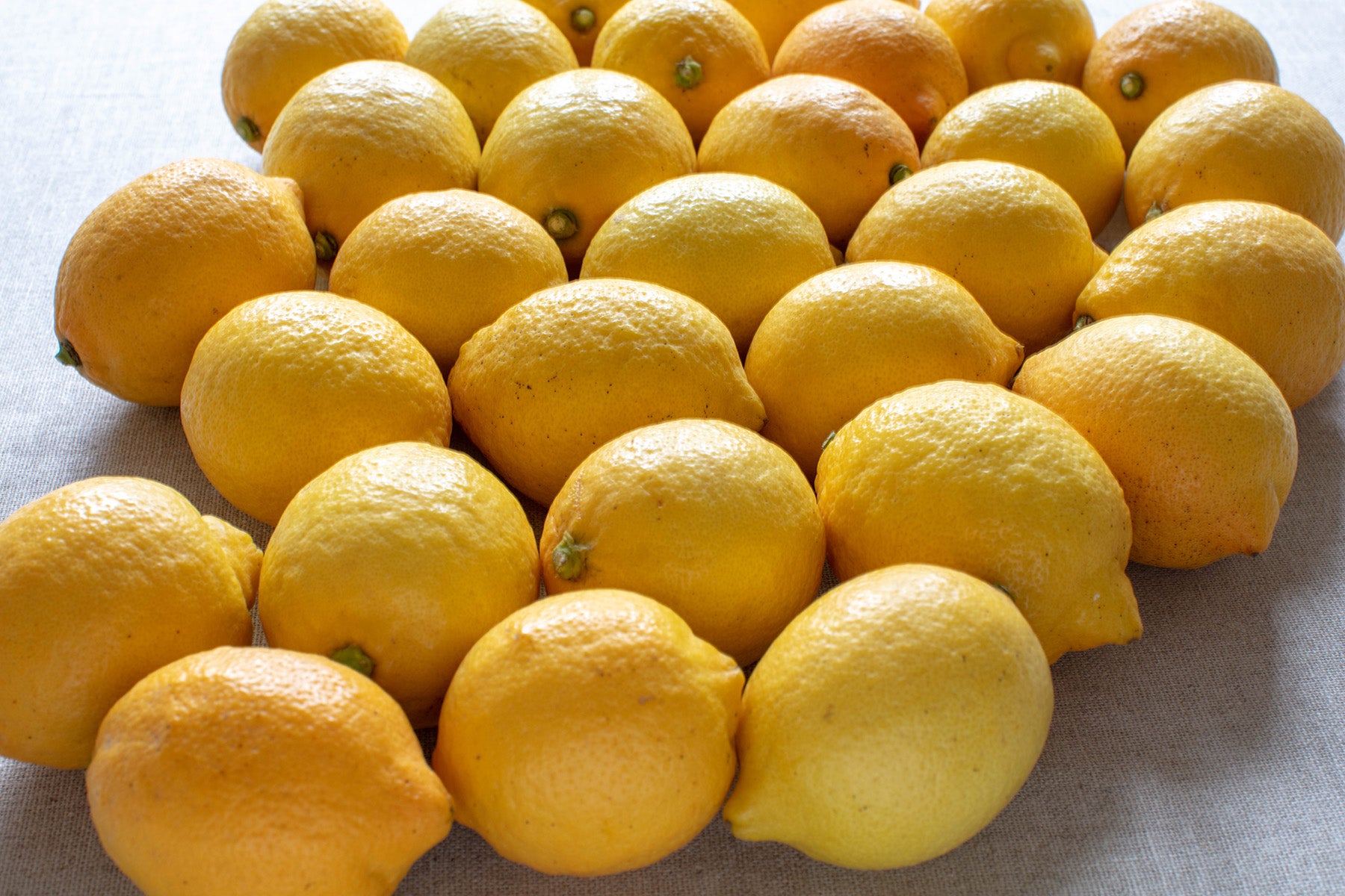 広島県／セーフティーフルーツ】国産レモンといえば、しまなみ（青）レモン（除草剤、ワックス等不使用）。2022年度販売開始！
