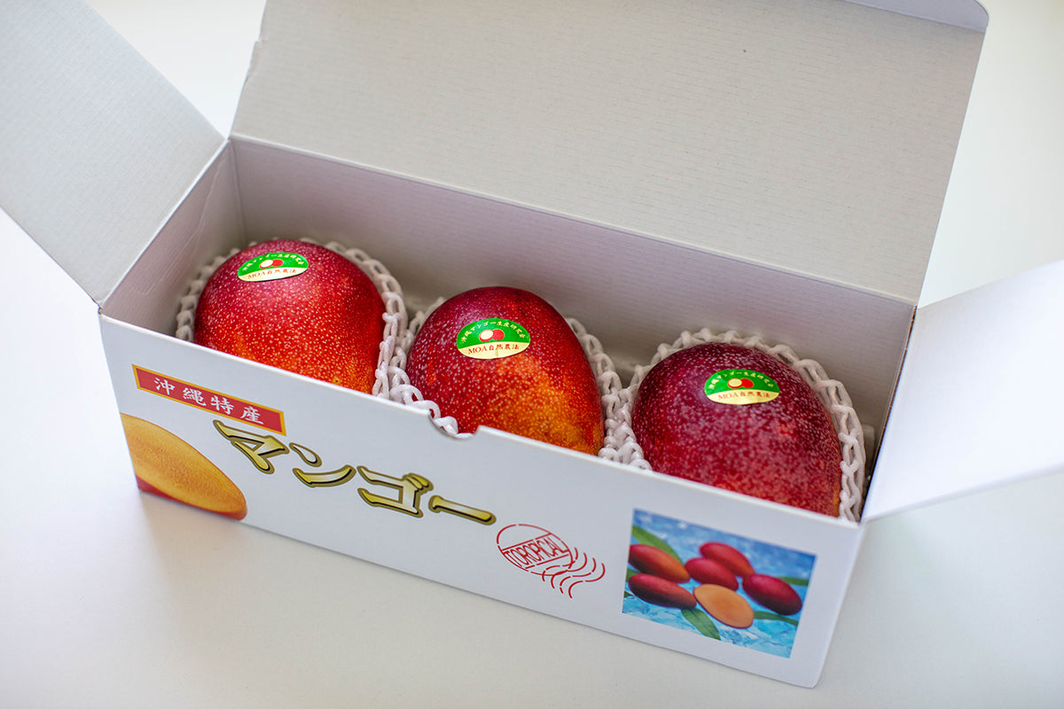 【沖縄県/沖縄マンゴー生産研究会】農薬・化学肥料不使用。甘さと酸味の抜群なバランスの元祖沖縄マンゴー。