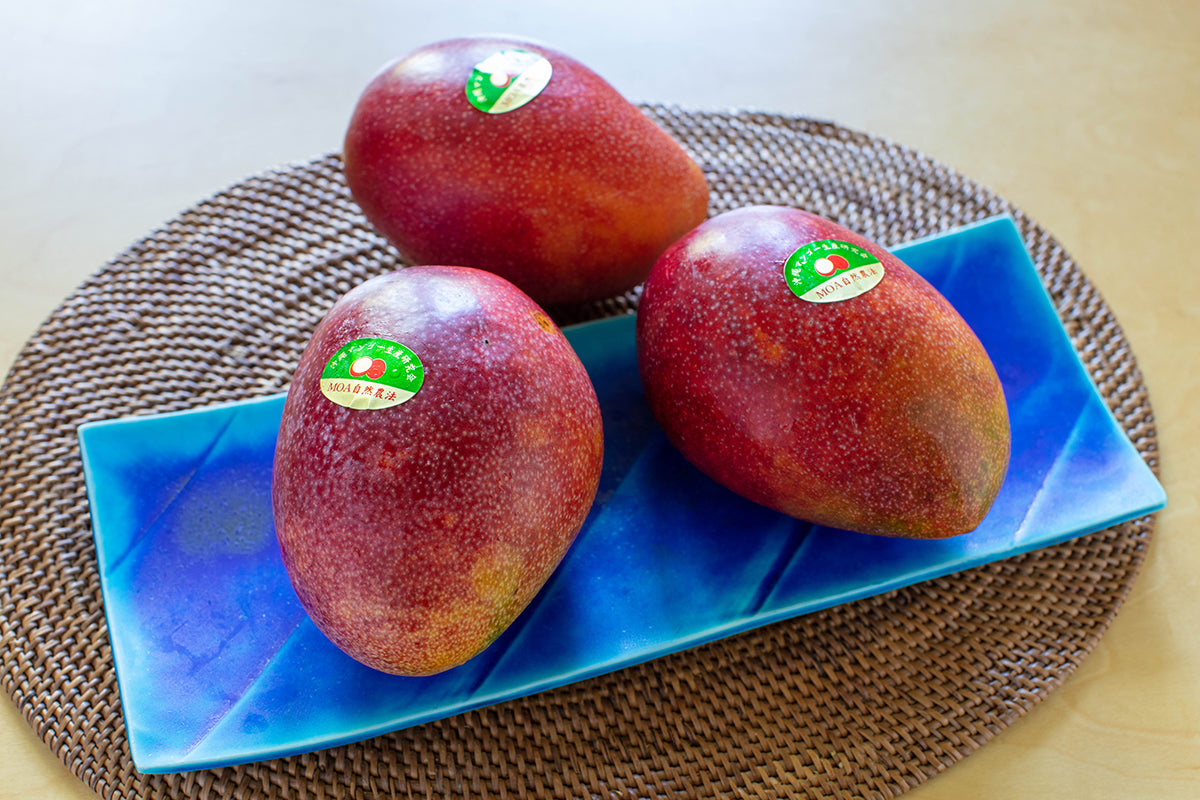 【沖縄県/沖縄マンゴー生産研究会】農薬・化学肥料不使用。甘さと酸味の抜群なバランスの元祖沖縄マンゴー。