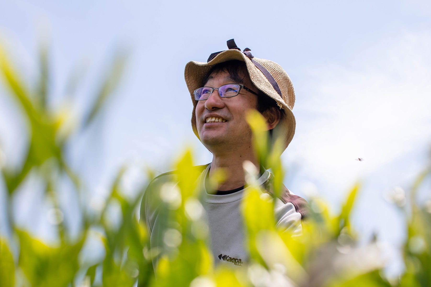 【宮崎県/宮崎茶房】2025年新茶販売開始!有機茶畑に集う若者が伝統をつなぐ、黄金色の釜炒り茶。