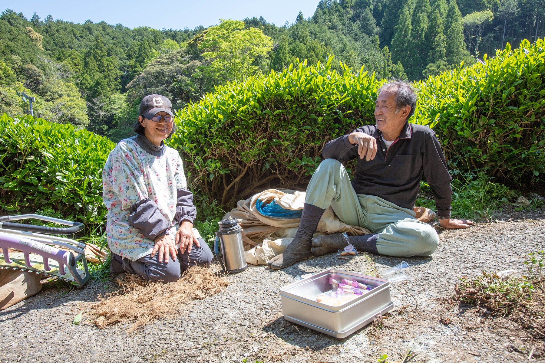 【静岡県/するが有機農場共同組合)】夏は冷茶で。香り高く味わい深い、静岡県産オーガニック煎茶はいかがですか。