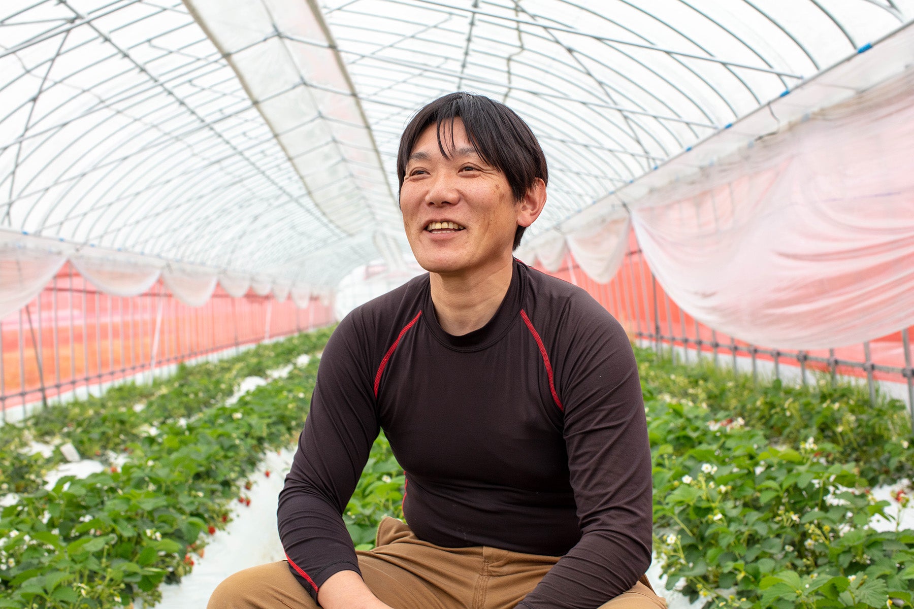 【京都府/かみむら農園】目指すのは「口福」をお届けする有機JAS認証いちご。