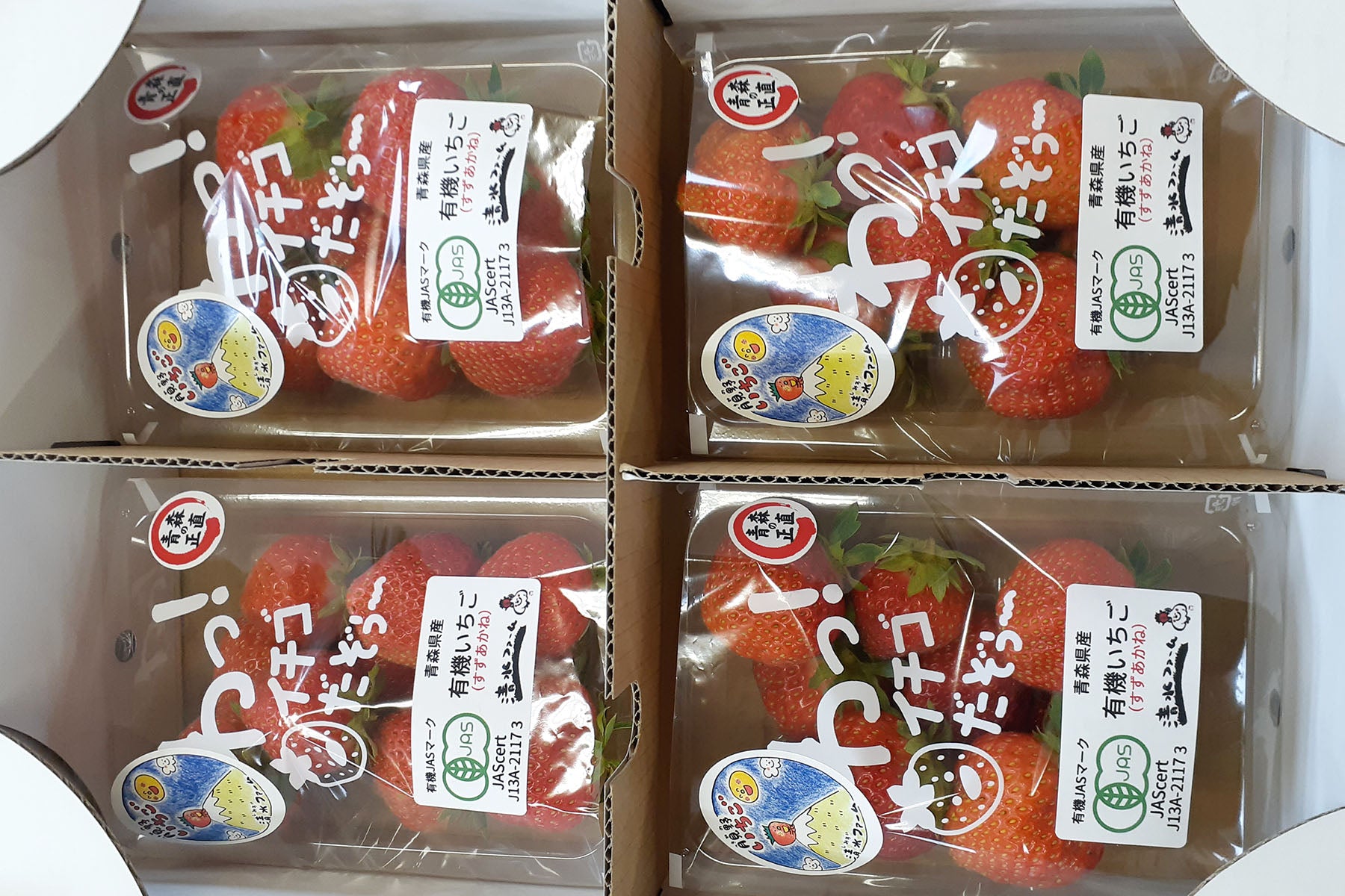【青森県/清水ファーム】5月から11月に実る希少な有機JAS認証夏いちご「月見野いちご」