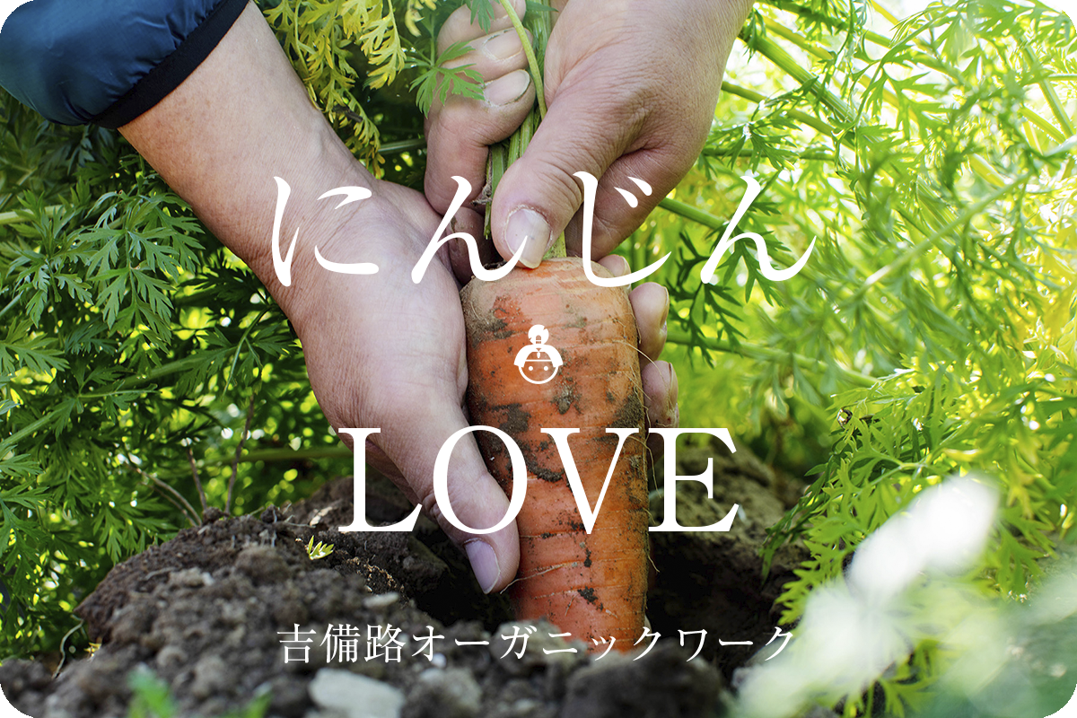 【岡山県/吉備路オーガニックワーク】これぞにんじん本来の味と品質、どこまでも有機に挑む桃太郎魂。