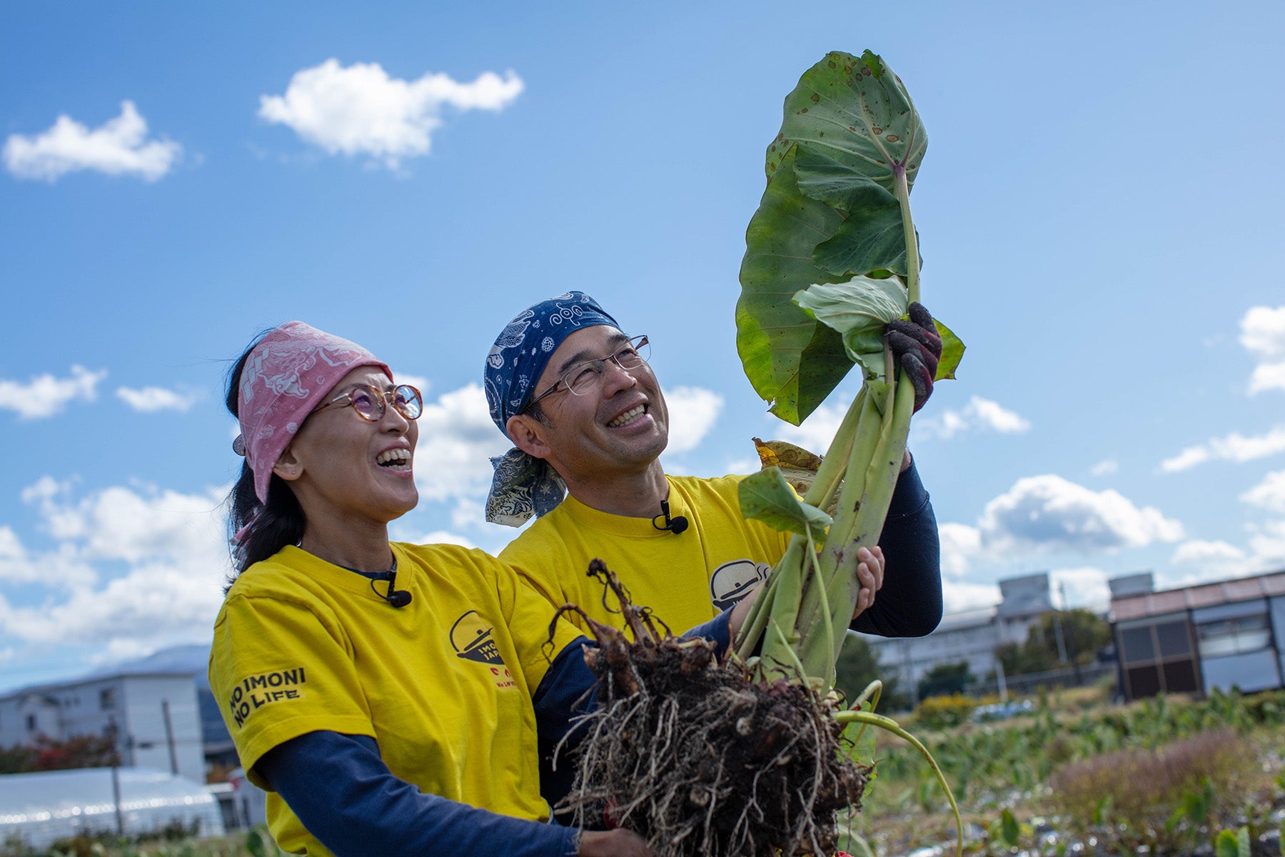 【山形県／さとう農園】「寿司天ぷら芋煮」を世界共通語に。そして始まった「いも煮ジャパン」。そのおいしさをご家庭で！