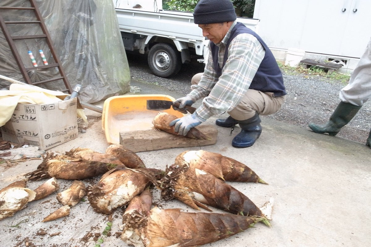 【神奈川県／自然園いしわた農場】春のアトリエ・グー恒例の筍掘り体験。参加できなくてもネットで購入できます！