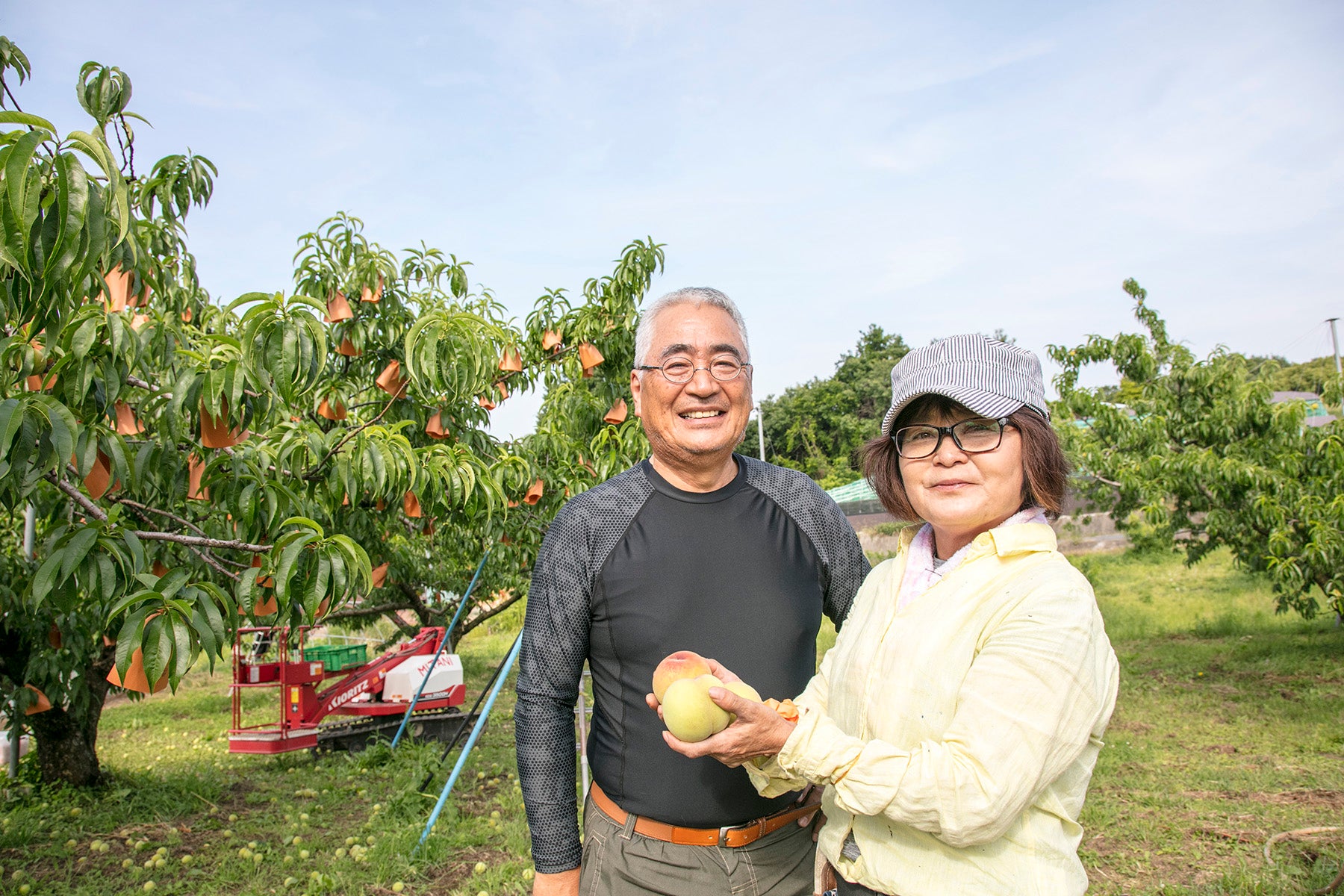 【岡山県／エコファームMITANI】唯一無二の有機JAS白桃、2024年予約開始。少量生産のため数に限りがあります。