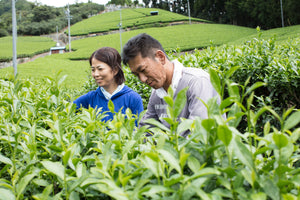 【静岡県／するが有機農場共同組合）】2023年新茶販売時開始。香り高く味わい深い、静岡県産オーガニック煎茶。